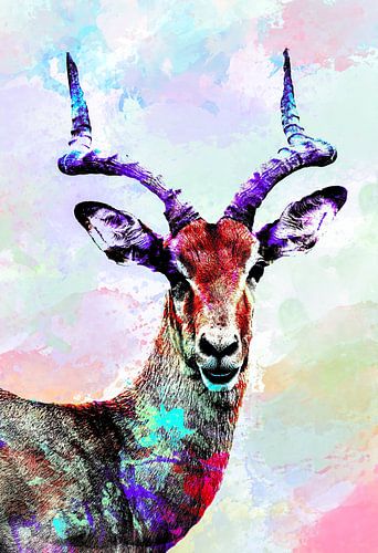 Gazellen Abstract in Diverse Kleuren