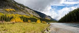 The beauty of the Icefields Parkway by Ton de Koning
