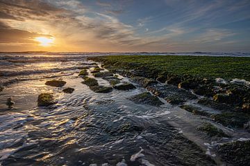 Ondergaande zon verlicht de met zeewier bedekte pier in de Noordzee bij Den Helder van Bram Lubbers