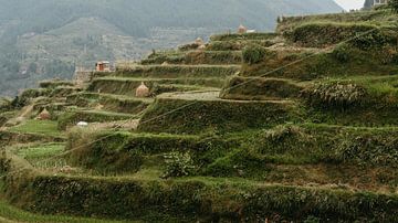 traditional rice terraces by Diederik De Mezel