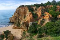 Kustlijn met rode rotsen in de Algarve (Portugal) van Jacoba de Boer thumbnail