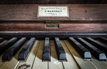 Piano close-up by Inge van den Brande