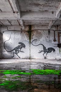 Aliens - Graffiti op een verlaten plek in Duitsland van Gentleman of Decay