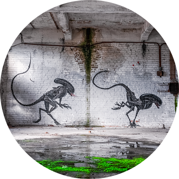 Aliens - Graffiti op een verlaten plek in Duitsland van Gentleman of Decay