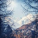 Les sommets alpins en hiver par Dirk Wüstenhagen Aperçu