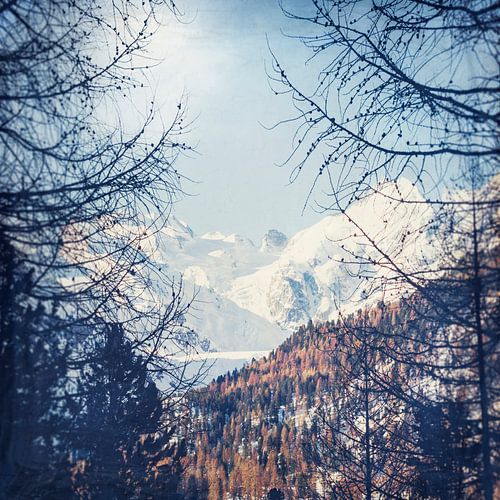 Alpenpieken in de winter