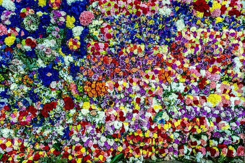 Sea of flowers and blossoms