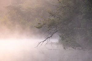 Lundi matin magique