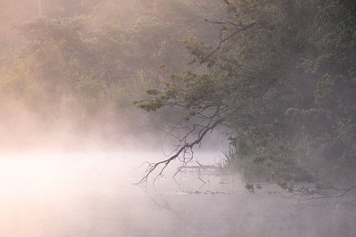 Magische maandagmorgen