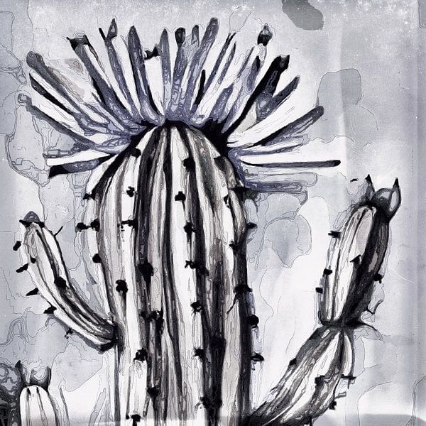 Flowering vintage cactus in grey-blue by Anna Marie de Klerk