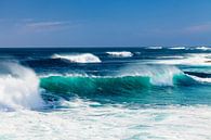 Wellen im Atlantik, Fuerteventura von Markus Lange Miniaturansicht