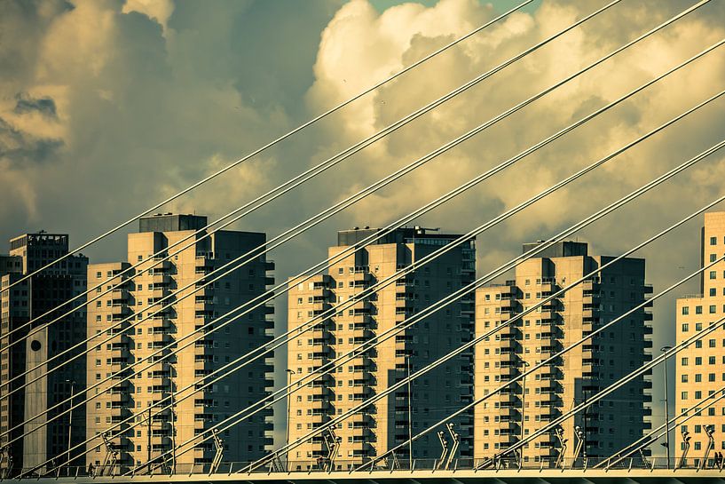 Erasmusbrug vanuit een ander perspectief van Andy Van Tilborg