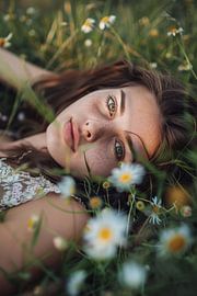 La magie des fleurs dans la lumière du printemps sur Poster Art Shop