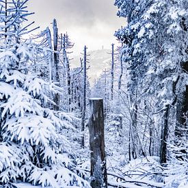 Paysage d'hiver sur Rob Bergman