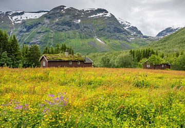 Paysage Norvège sur Harry Punter