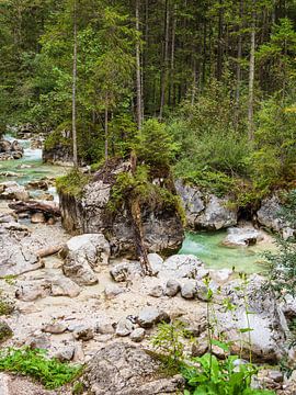 Ramsauer Ache in het magische bos in het Berchtesgadener Land van Rico Ködder