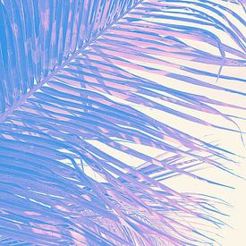 Sommer-Vibes von Adriano Oliveira