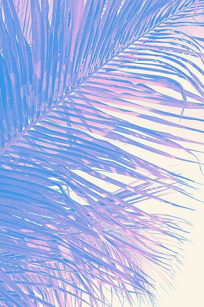 Sommer-Vibes von Adriano Oliveira