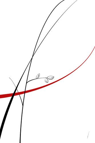 Zen feelings in the forest