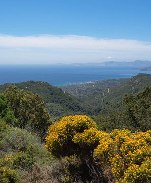 Samos part 4 by Tania Perneel