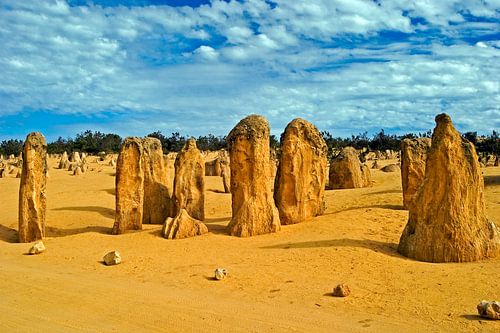 Beschermers van de woestijn - de pinakels in Nambung National Park