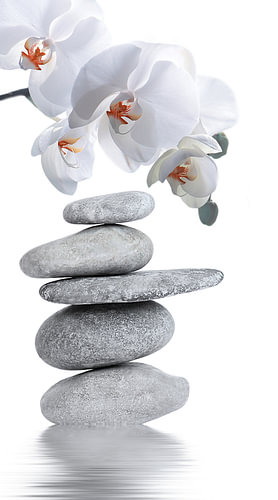 Peace &, Balance – Zen stones with an orchid