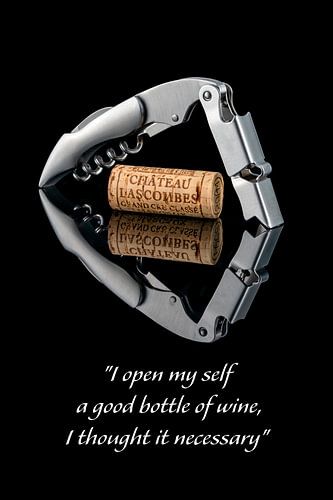 Tire-bouchon élégant avec bouchon de vin - Art noble du vin sur Photo Art Thomas Klee