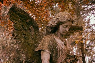 Angel by Vivian Teuns
