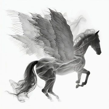 Pegasus van Uncoloredx12
