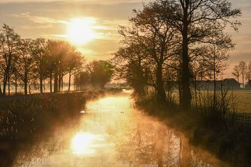 Soleil matinal dans le polder sur Tessa van der Geer