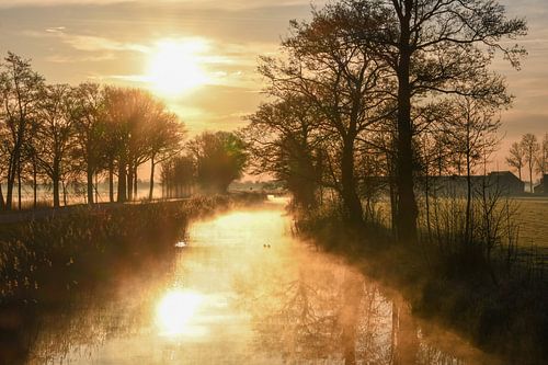Soleil matinal dans le polder