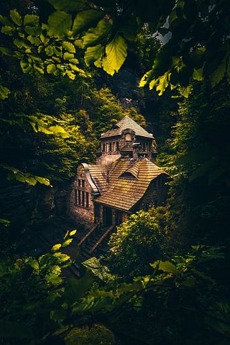 Hrensko huis aan de rivier en in het bos