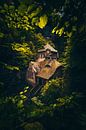 La maison de Hrensko au bord de la rivière et dans la forêt par Fotos by Jan Wehnert Aperçu