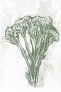 Bloem in retro stijl. Moderne botanische minimalistische kunst in wit en groen van Dina Dankers thumbnail