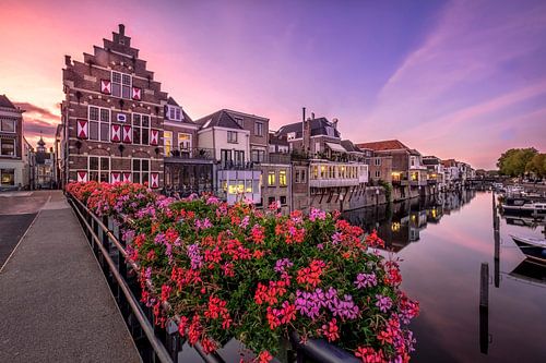 Dans le Blowen Hoet au crépuscule - Goringhem