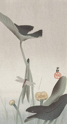 Dragonfly en Lotus, Ohara Koson