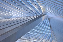 the roof 2 of Gare Guillemins in Liege Belgium by Ernst van Voorst