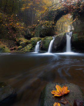 Autumn colours in Luxemburg - Schiessentümpel