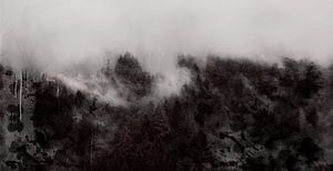 Paysage sombre d'une forêt de pins dans la brume sur MadameRuiz