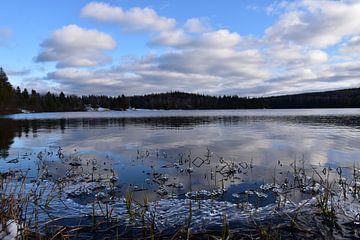 First frost on the lake in autumn by Claude Laprise