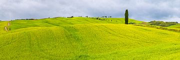 Panorama van Toscane van Henk Meijer Photography