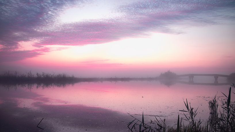 kurz vor Sonnenaufgang färbt sich der Himmel vor Freude rosa von Hans de Waay