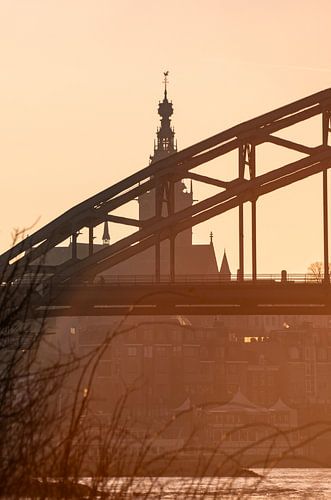 Die Ikonen von Nijmegen