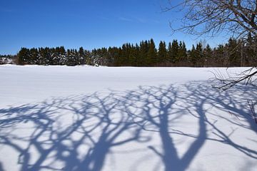 Un champ en hiver sur Claude Laprise