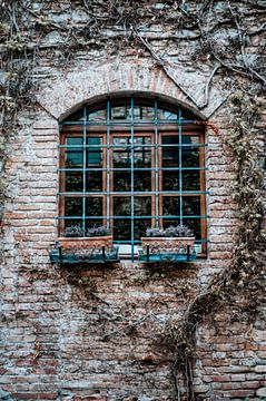 Raam met muur en natuur in Italië van Milene van Arendonk