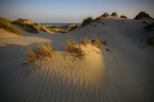 Terschelling - Holland vom Feinsten!