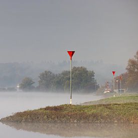 De Rijn bij Oosterbeek #010