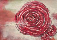 The BIG ROSE
