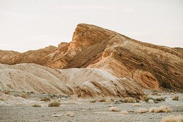 Death Valley van Roxanne Danckers