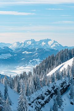 Uitzicht op de Säntis vanaf de Hochgrat in de winter van Leo Schindzielorz